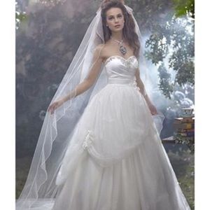 BEAUTIFUL brand new veil